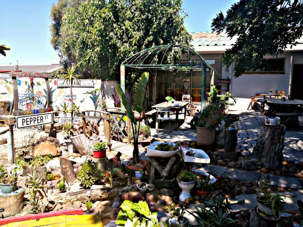 בלוויל Suzie'S Coffee Shop Accommodation מראה חיצוני תמונה